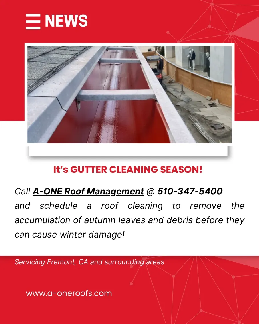 A-ONE ROOF MGMNT